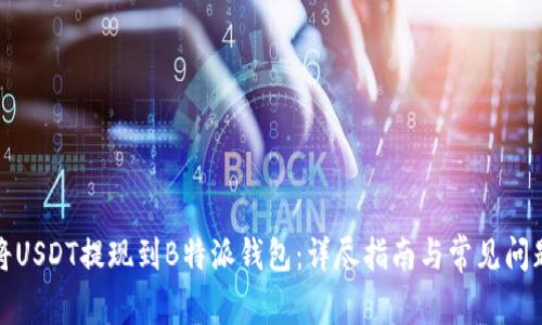 如何将USDT提现到B特派钱包：详尽指南与常见问题解答