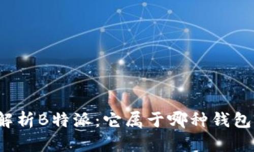 深度解析B特派:它属于哪种钱包类型?