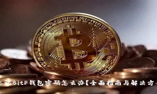 忘记BitP钱包密码怎么办?全面指南与解决方案