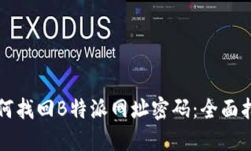 如何找回B特派网址密码:全面指南