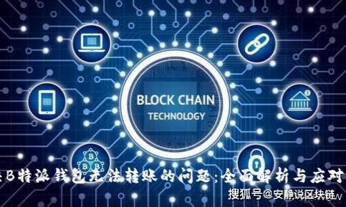 解决B特派钱包无法转账的问题:全面解析与应对方案