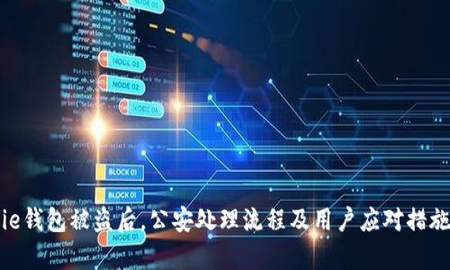 Bitpie钱包被盗后,公安处理流程及用户应对措施详解