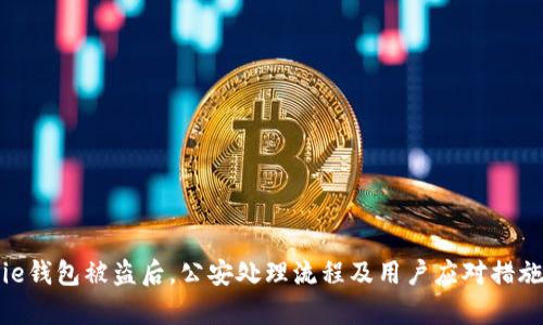 Bitpie钱包被盗后,公安处理流程及用户应对措施详解