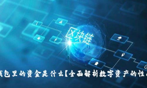 区块链钱包里的资金是什么?全面解析数字资产的性质与价值