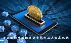 全面解析中国数字货币钱