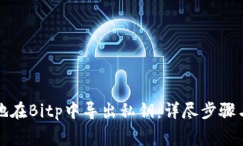 如何安全地在Bitp中导出私钥：详尽步骤与注意事项
