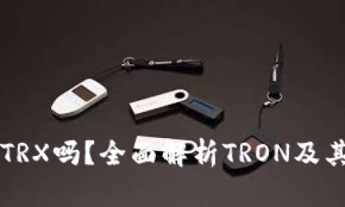 比特派钱包支持TRX吗?全面解析TRON及其在比特派的应用