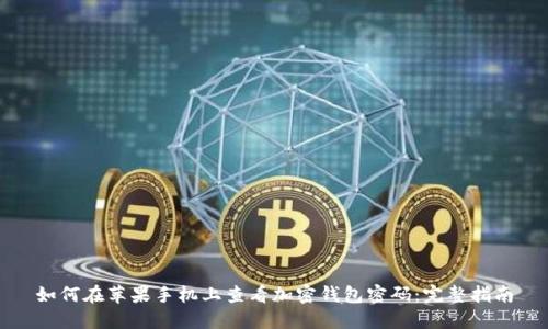 如何在苹果手机上查看加密钱包密码:完整指南