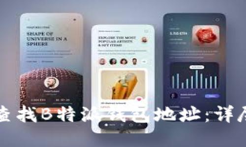 如何查找B特派钱包地址:详尽指南