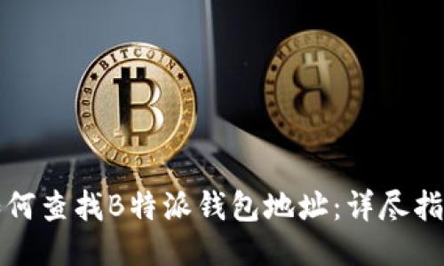如何查找B特派钱包地址:详尽指南
