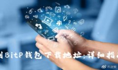 如何找到BitP钱包下载地址