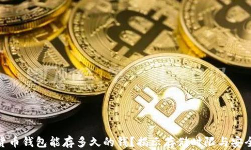 数字货币钱包能存多久的钱?揭示存储时限与安全策略