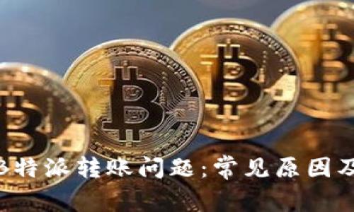 如何解决B特派转账问题:常见原因及解决方案