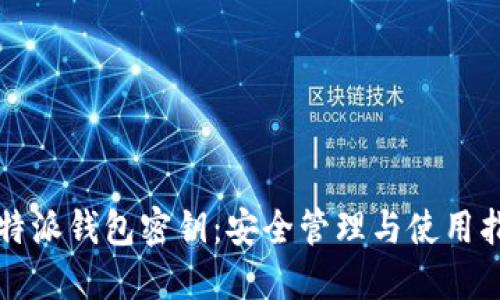 比特派钱包密钥:安全管理与使用指南