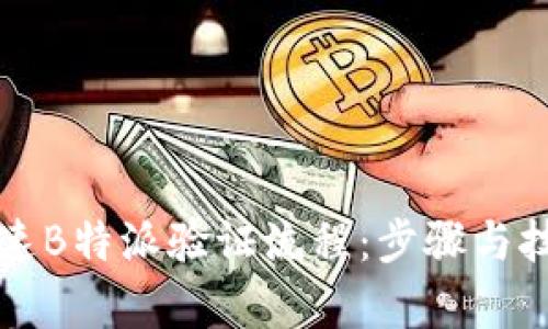 如何加速B特派验证流程:步骤与技巧解析