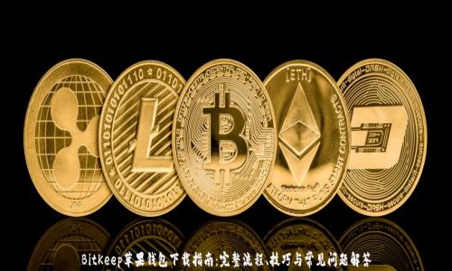 BitKeep苹果钱包下载指南:完整流程、技巧与常见问题解答