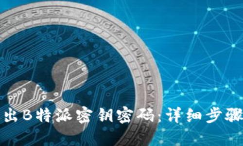 如何导出B特派密钥密码:详细步骤与技巧