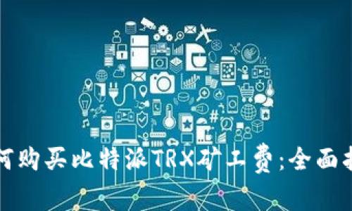如何购买比特派TRX矿工费:全面指南