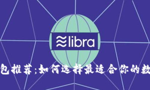 数字货币钱包推荐:如何选择最适合你的数字货币钱包