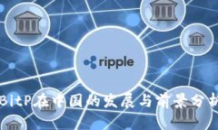 BitP在中国的发展与前景分