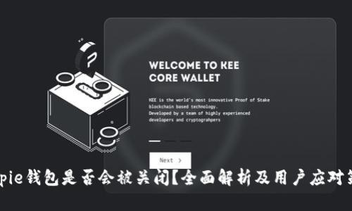 Bitpie钱包是否会被关闭?全面解析及用户应对策略