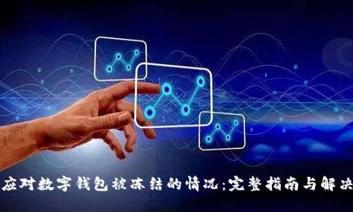 如何应对数字钱包被冻结的情况:完整指南与解决方案
