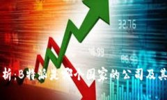 深入解析：B特派是哪个国