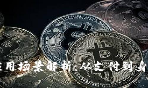 区块链钱包对接应用场景解析:从支付到身份验证的多重应用