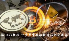 B特派 BSV教程：一步步掌握