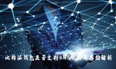 比特派钱包是否支持BNB交