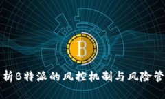 深入解析B特派的风控机制