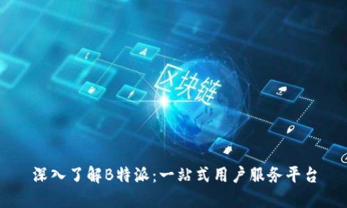 深入了解B特派:一站式用户服务平台