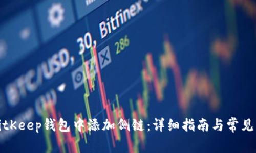 如何在BitKeep钱包中添加侧链:详细指南与常见问题解答
