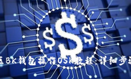 盘古社区BK钱包操作OSK教程:详细步骤与技巧