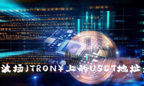如何查询波场(TRON)上的USDT地址:全面指南