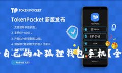 如何选择适合自己的小狐