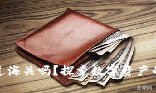 : 区块链钱包能过海关吗？探索数字资产的出入境法律问题