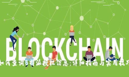 如何查询B特派授权信息:详细指南与实用技巧