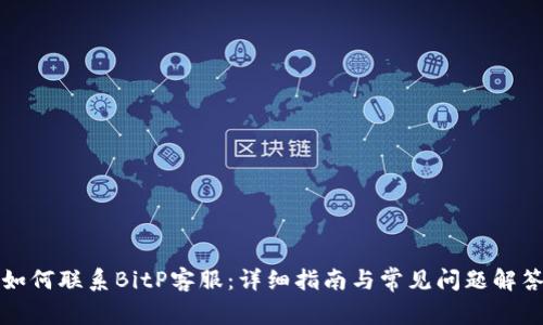 如何联系BitP客服:详细指南与常见问题解答