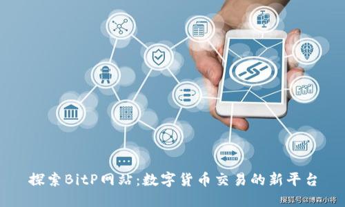 探索BitP网站:数字货币交易的新平台
