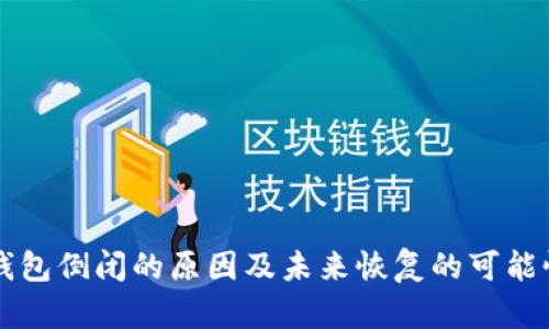 库神钱包倒闭的原因及未来恢复的可能性分析