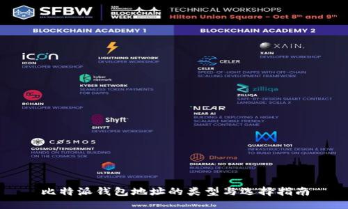 比特派钱包地址的类型与选择指南