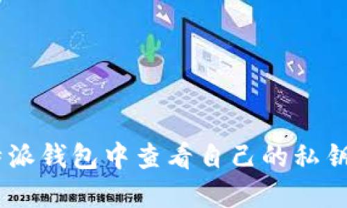 如何在B特派钱包中查看自己的私钥:详细指南