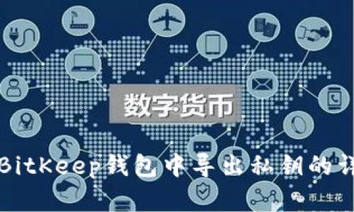 如何在BitKeep钱包中导出私钥的详细指南