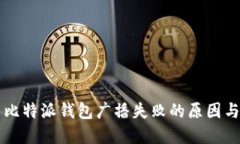 解决比特派钱包广播失败