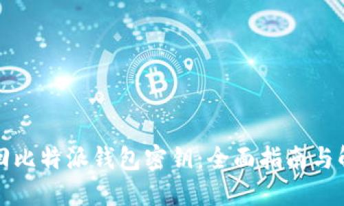 如何找回比特派钱包密钥:全面指南与解决方案