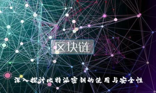 深入探讨比特派密钥的使用与安全性
