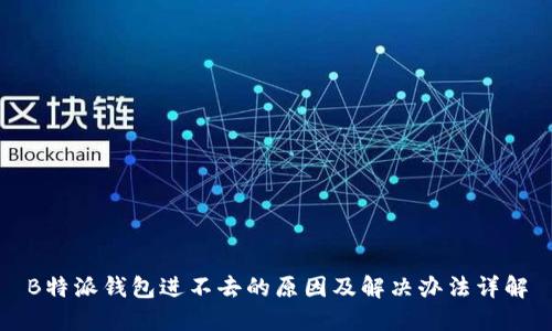 B特派钱包进不去的原因及解决办法详解