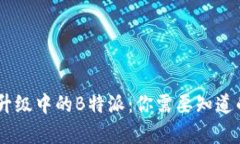 USDT转账升级中的B特派：你