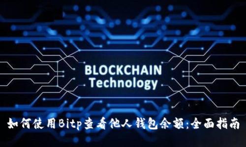 如何使用Bitp查看他人钱包余额:全面指南
